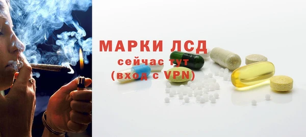 индика Балабаново