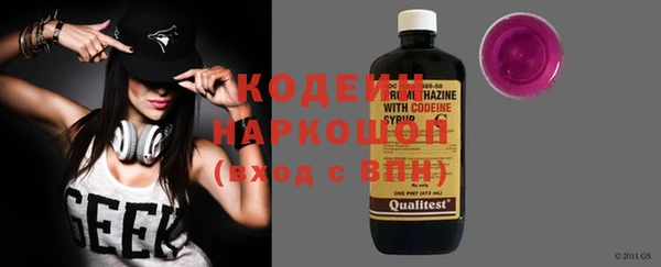 индика Балабаново