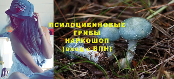 индика Балабаново