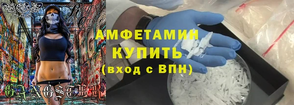 индика Балабаново