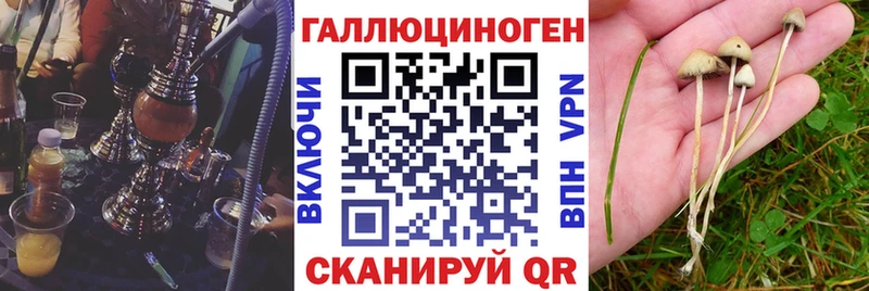 Псилоцибиновые грибы Magic Shrooms hydra ТОР Козловка
